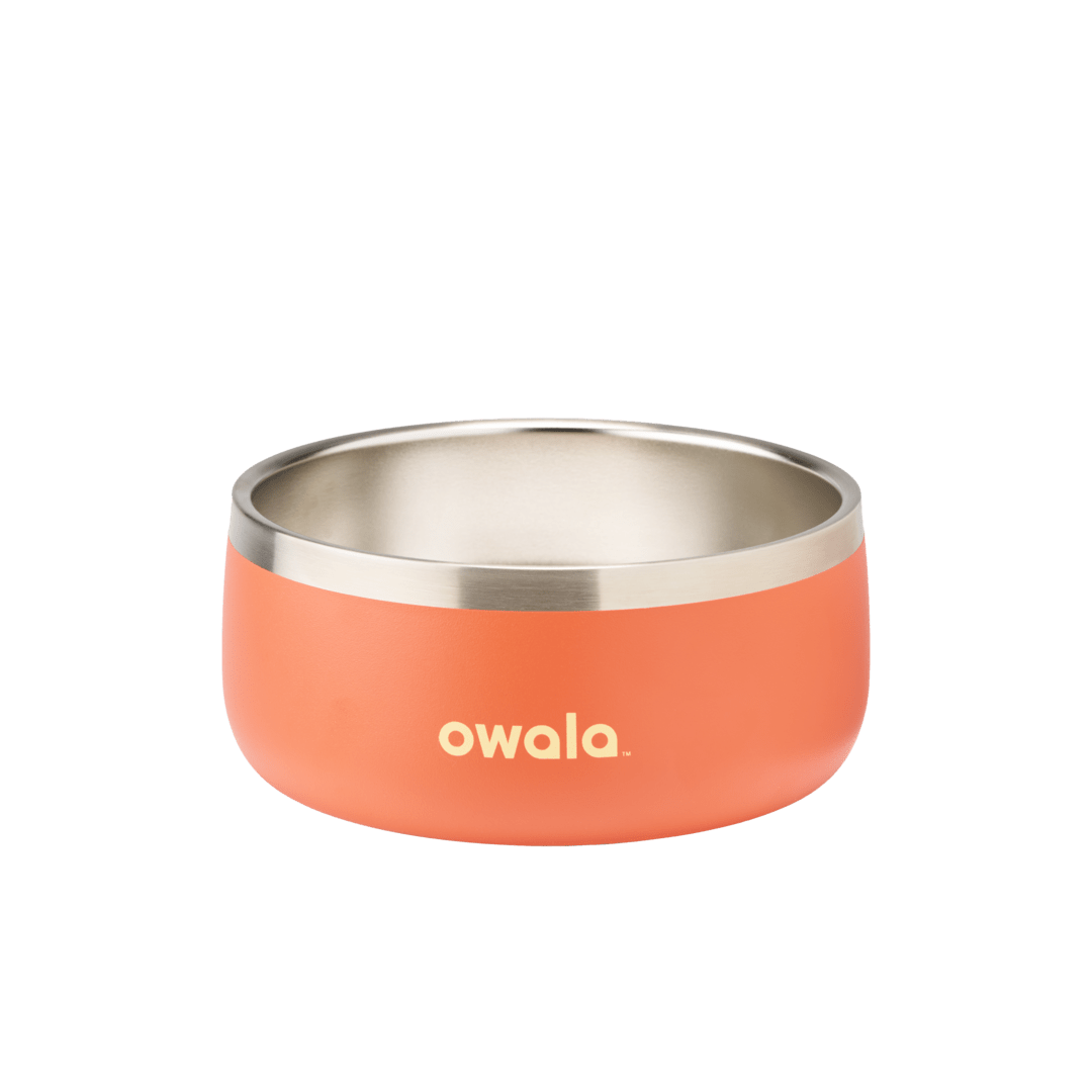 Pet Bowl - Trailside Tricks